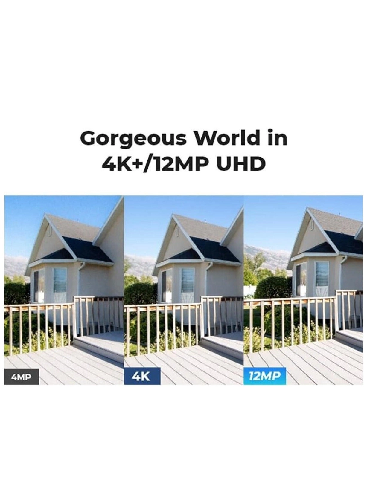 NVS8 + NVS-B12M - 8-Channel