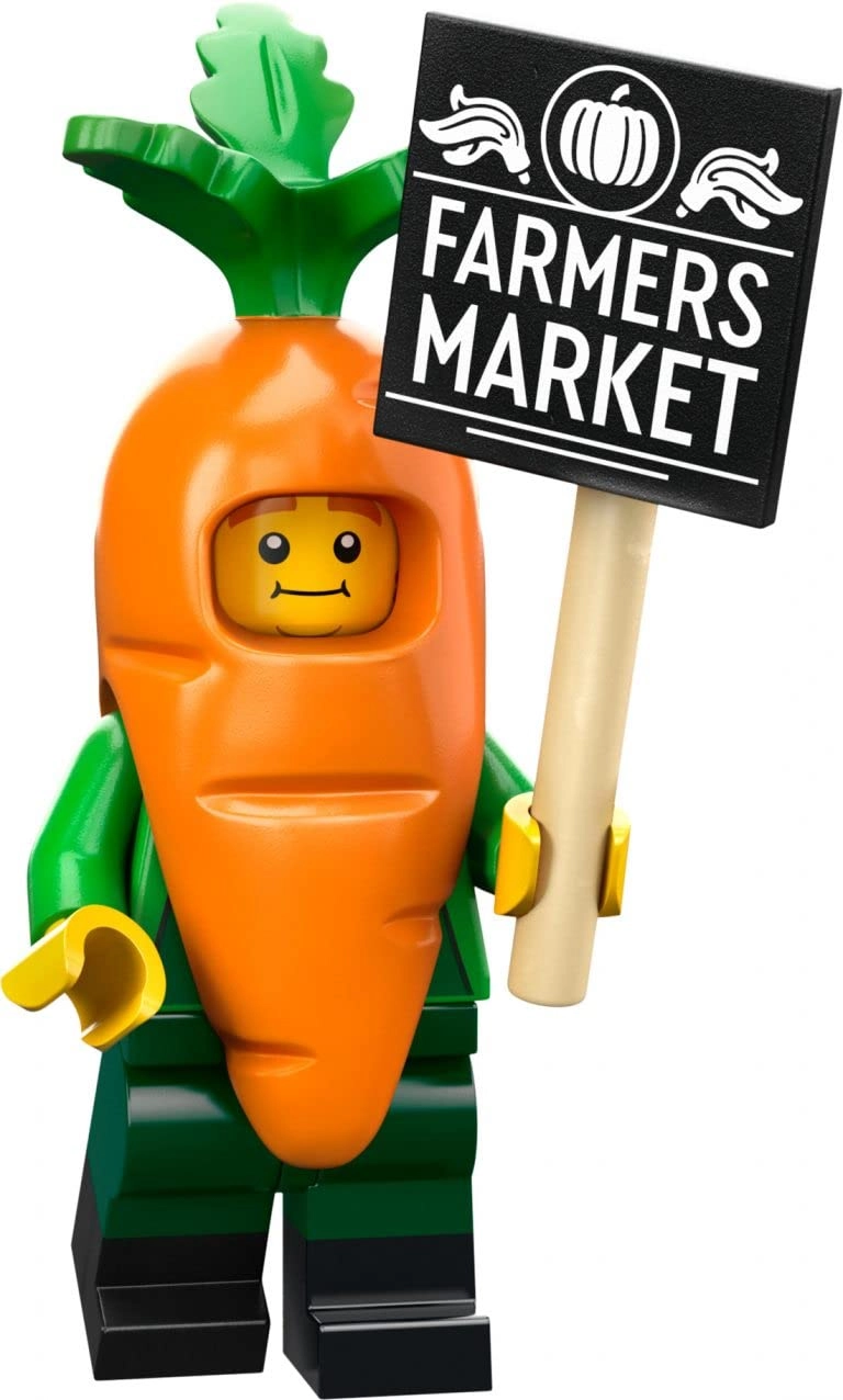 Minifigures Series 24 (71037)