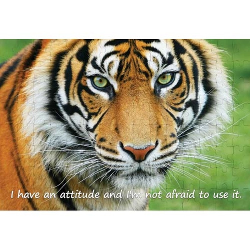 Ajooba Dubai Motivation Puzzle (2141)