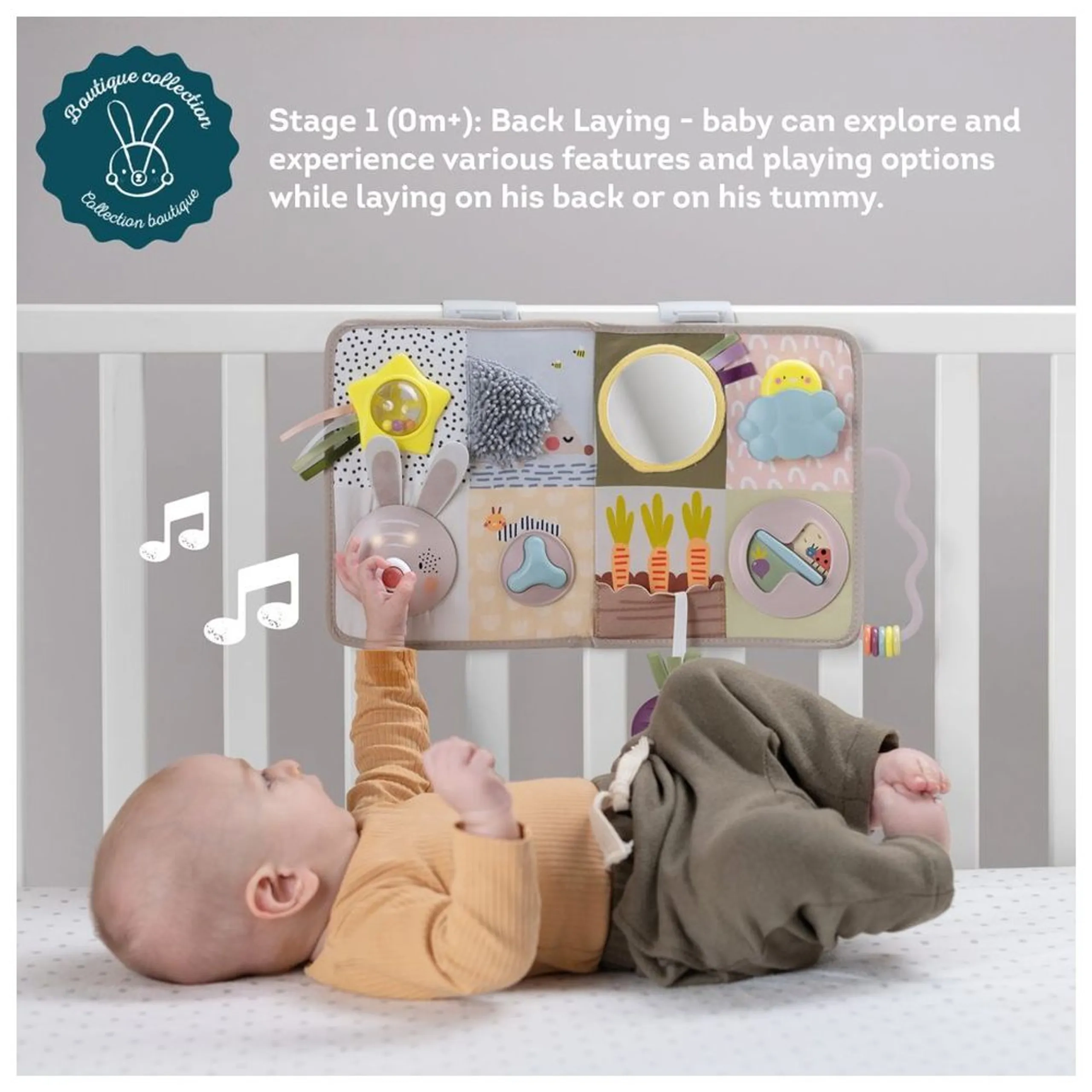 Melody Bloom Gym - 0 month & above