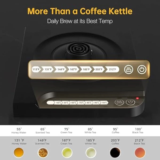 Gooseneck Electric Kettle