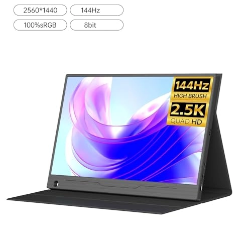 Portable Monitor - 1WLBPJ9KHMTZ 17.3-inch 2560 x 1440