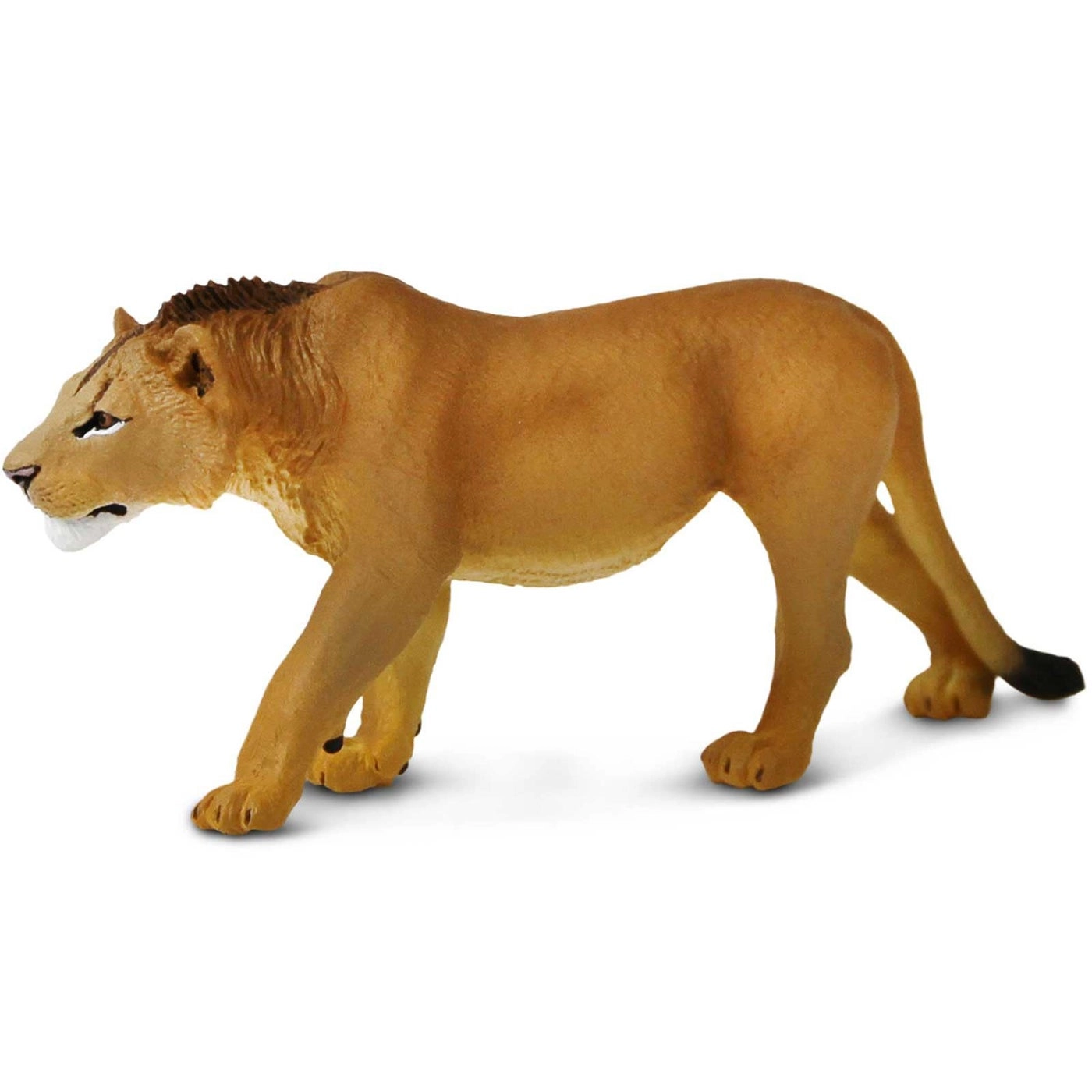 Adolescent Male Lion - Wildlife - 3yr(s) (63.5 cm)