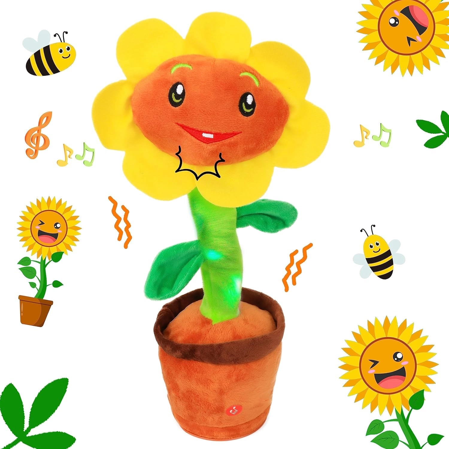 SBWBZB0924CT1 - 6 months+ Cactus