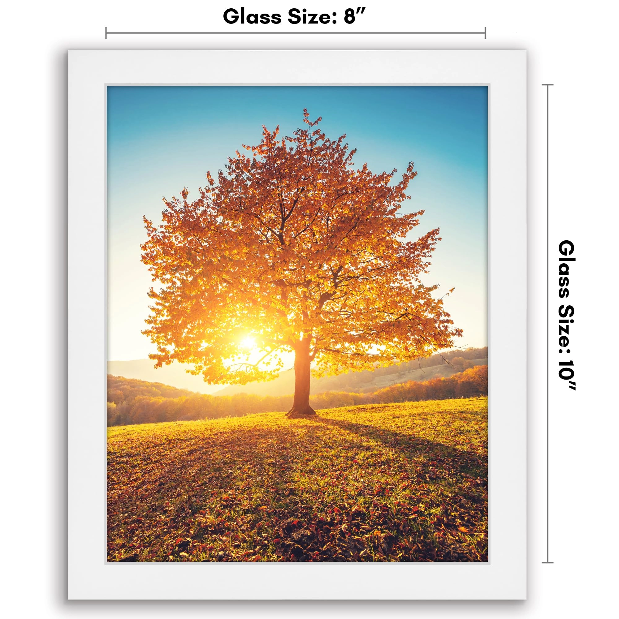 8x10 Picture Frame - 1
