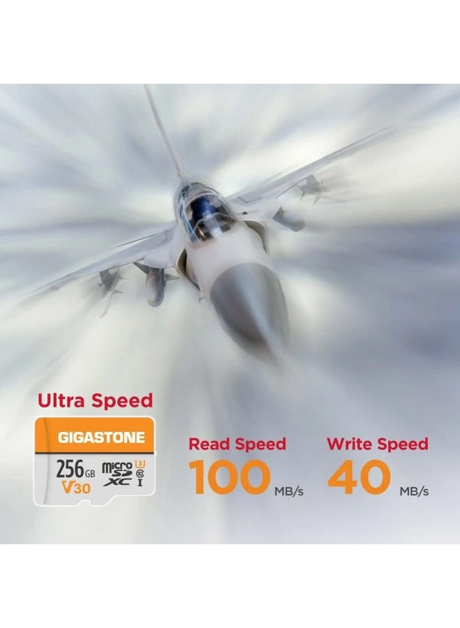 MicroSDXC Memory Card - 256GB + SD Adapter