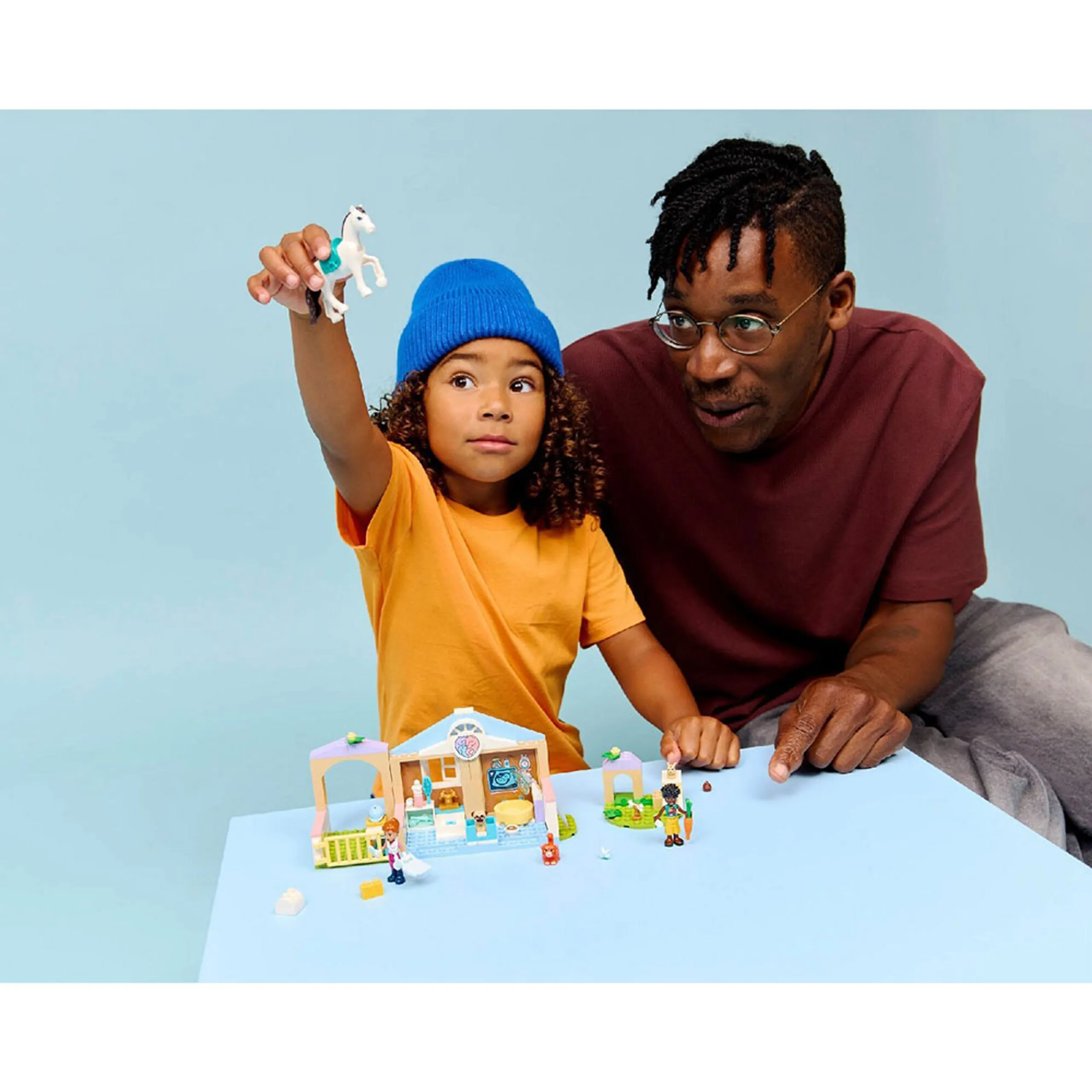 Friends Animal Vet Clinic (42696)