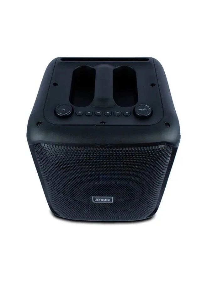 BTS 1740 - Dual Microphone