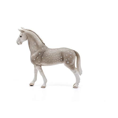 Holsteiner Gelding - 5 yr(s)