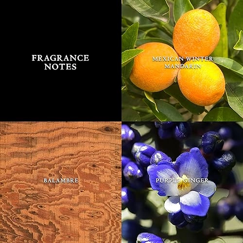 Artisan Eau de Toilette 75 ml