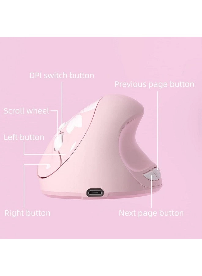 Ergonomic Vertical Mouse - Wireless