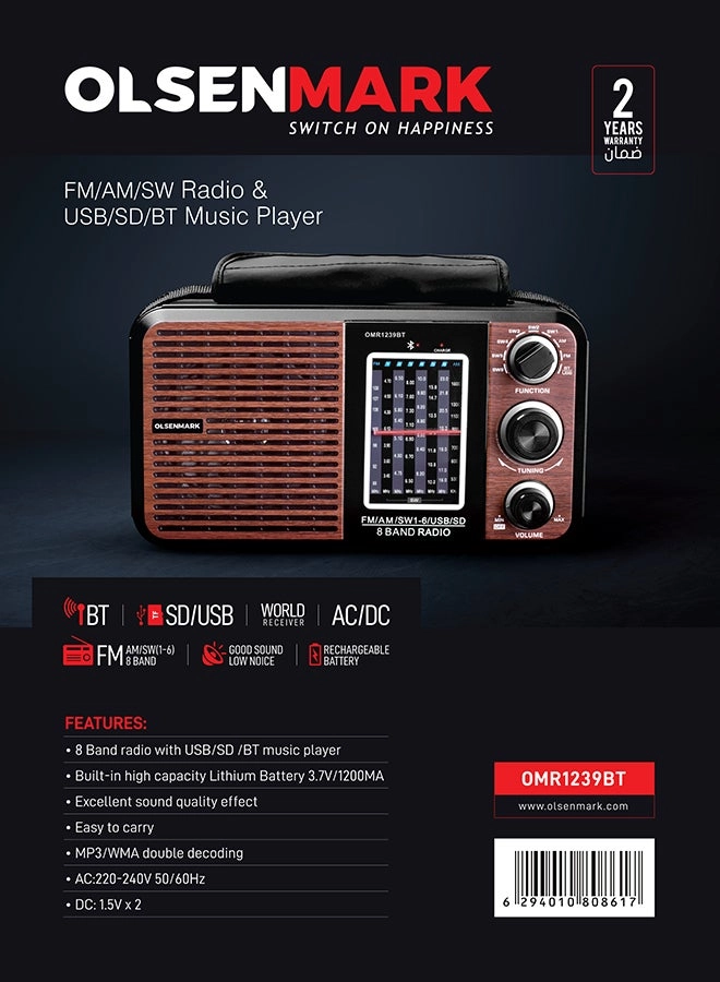 FM/AM/SW Radio & Music Player - Portable