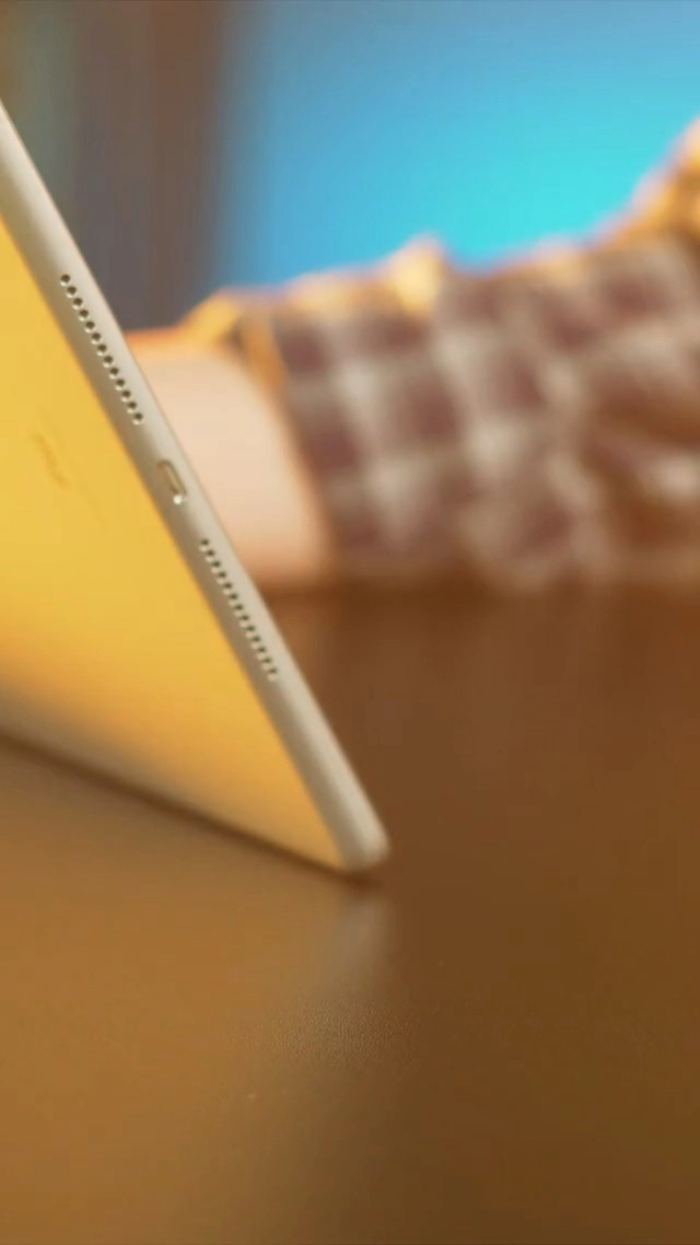 Mono Wired Earphone
