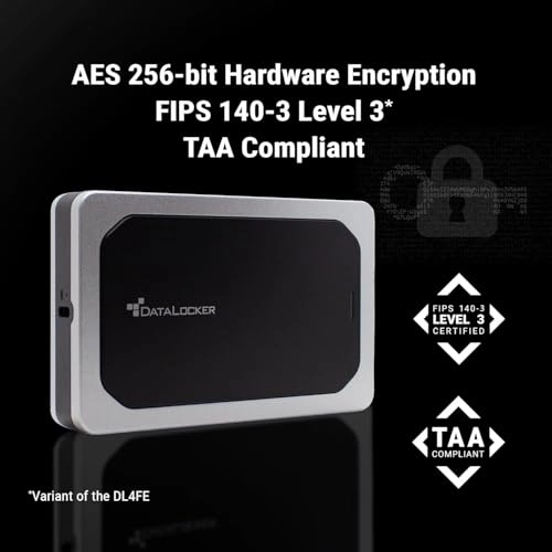 DL4-SSD - 1000 GB