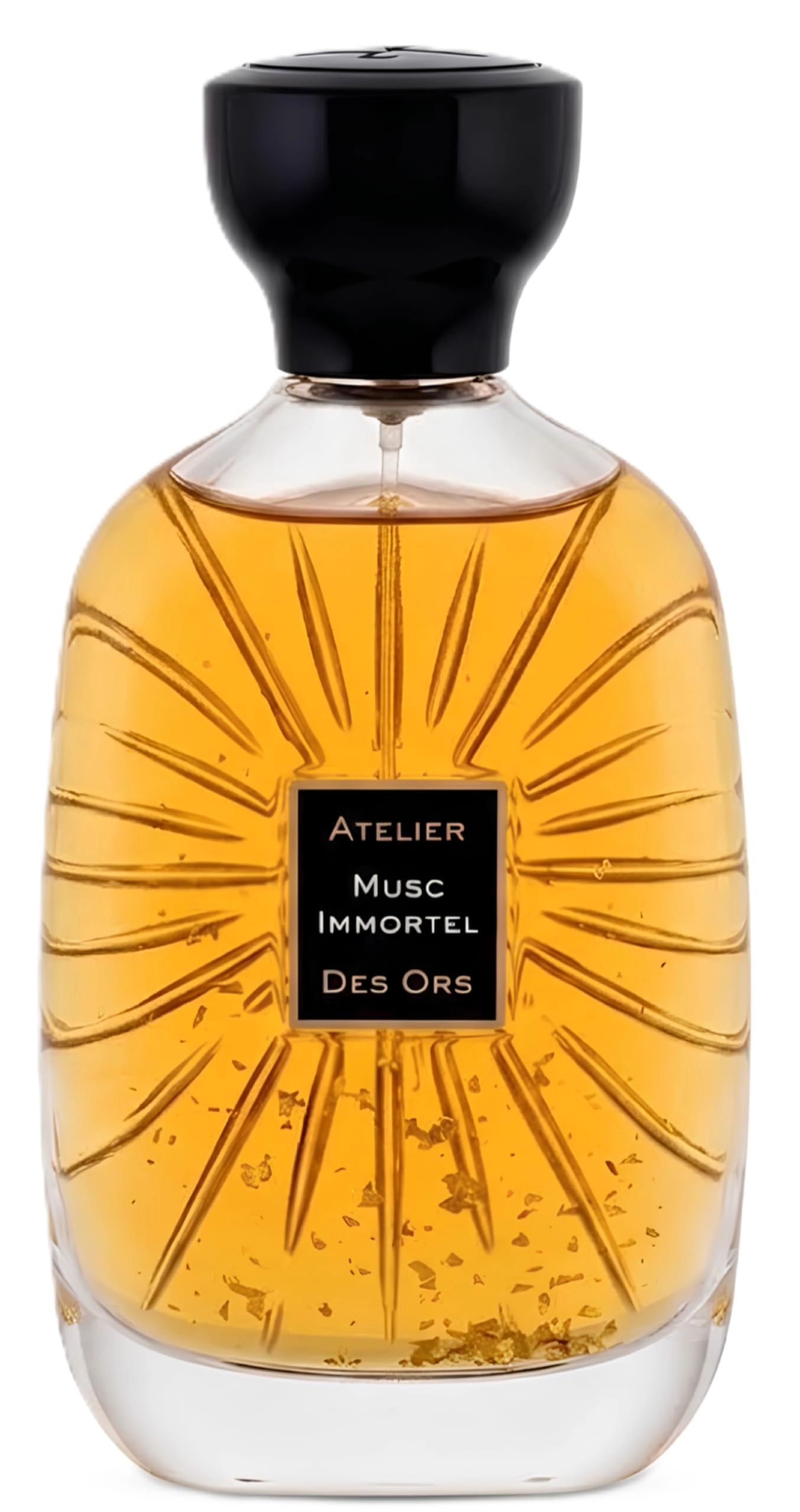 Atelier Musc Immortel - Eau de Parfum 100 ml