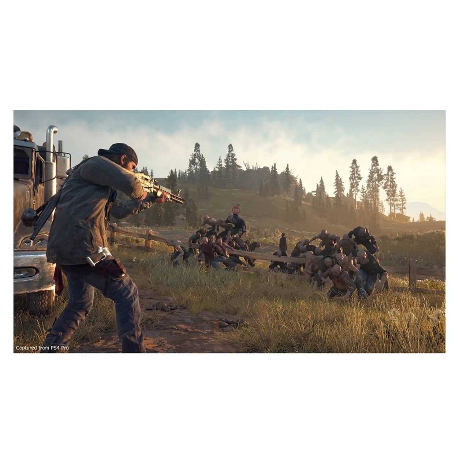 Days Gone - PlayStation 4