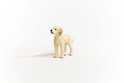 Golden Doodle - 3 yr(s)