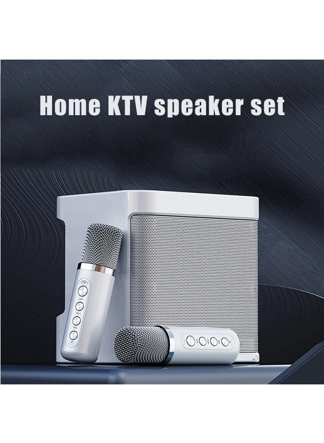 K12 Speaker - two microphone