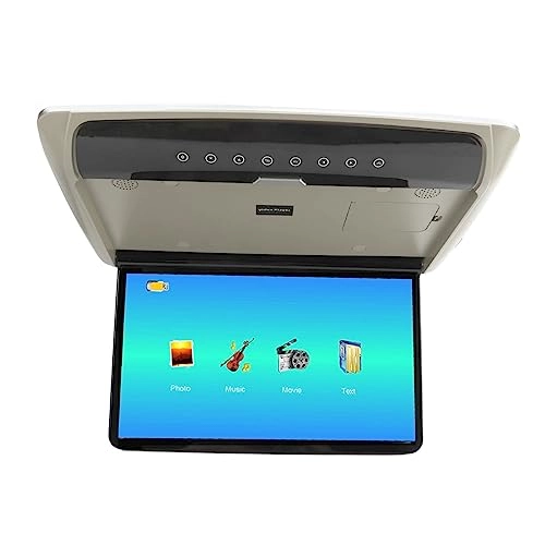 Car Overhead Player - 15.6in