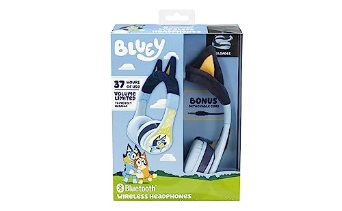 WW-B52 Wireless Headphone