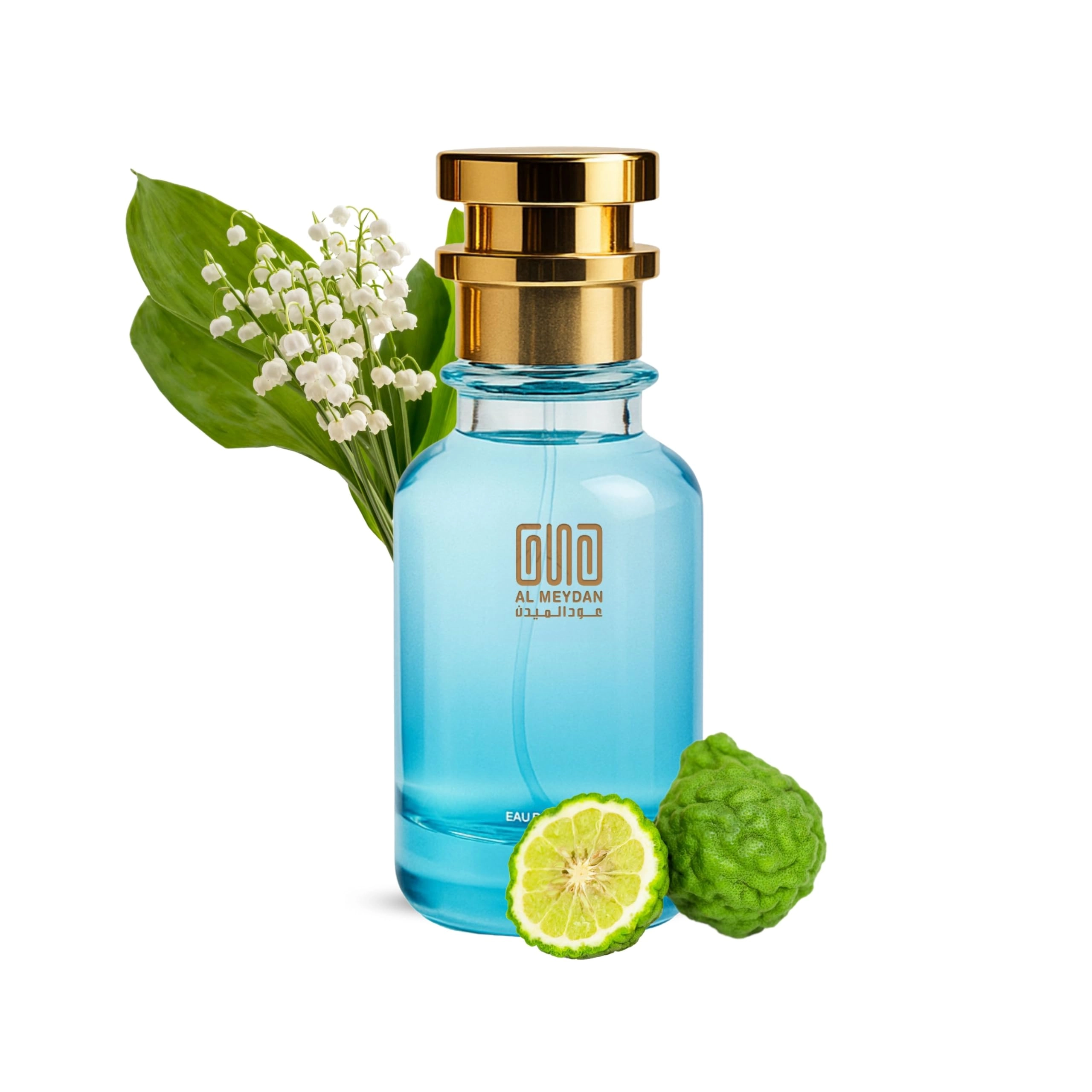 Oud Al Meydan Oil Based Perfume - 50 ML