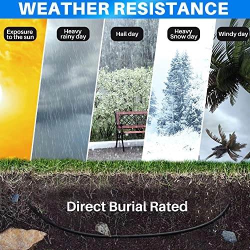 Cat 6 Outdoor Ethernet Cable - 100 Ft
