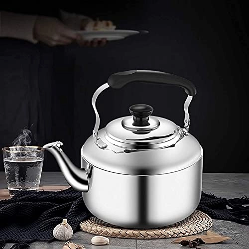 Stovetop Induction Whistling Kettle - 5L
