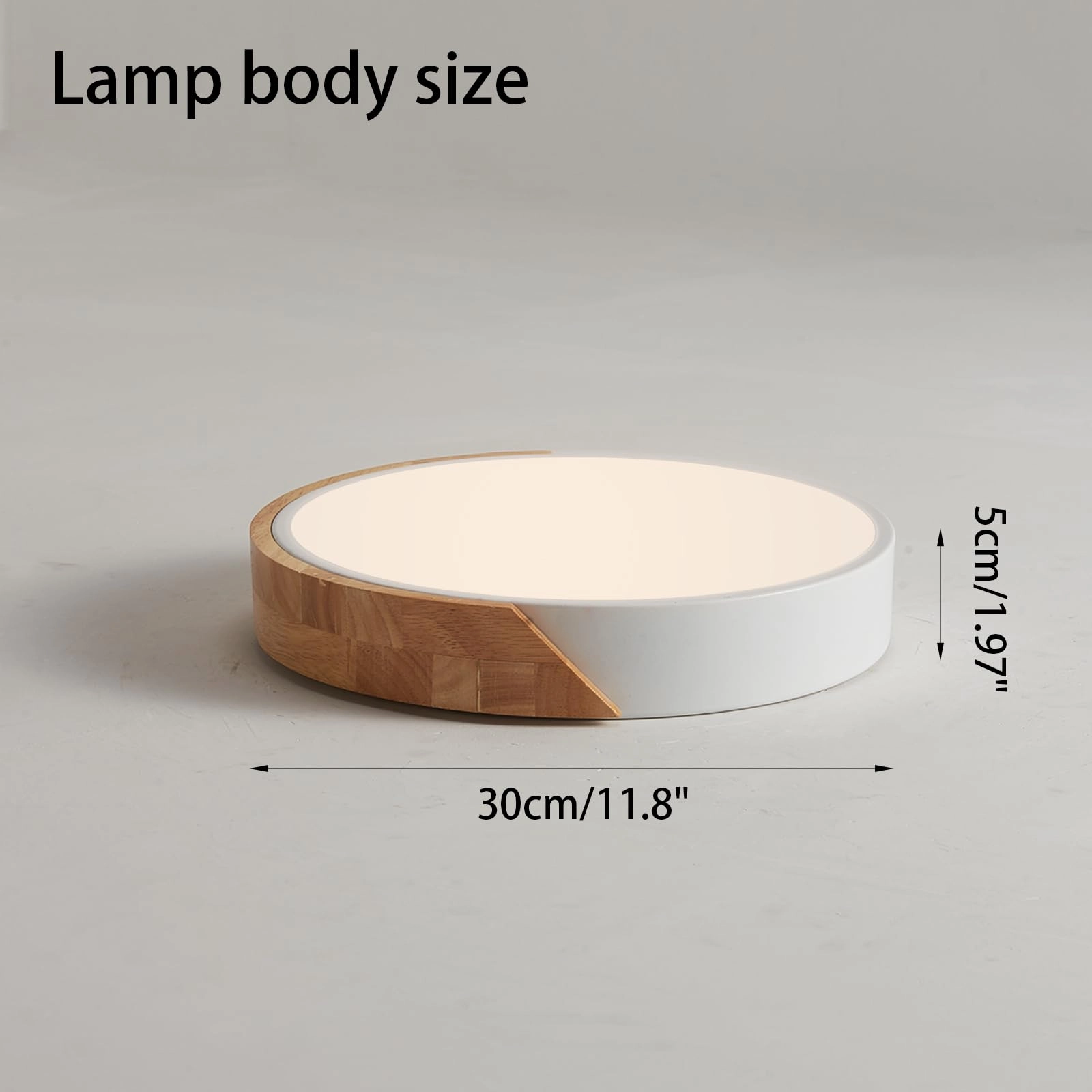 Flush Ceiling Light - 6000K 4000K 3000K Dimmable