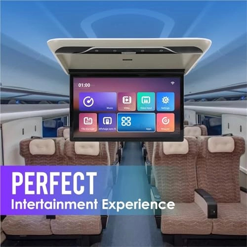 Car Roof Monitor - 22 Inch