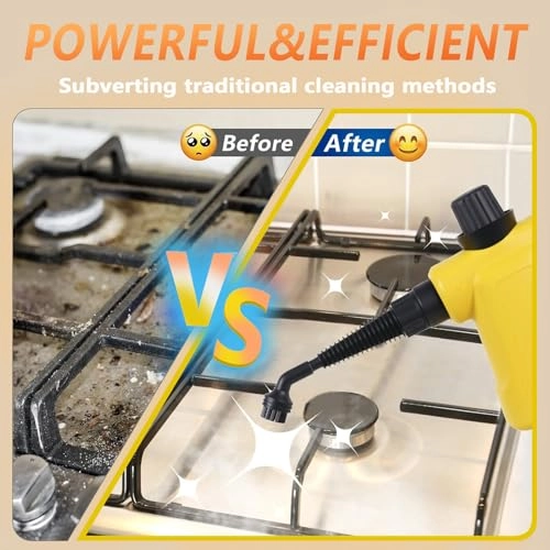 Steam Cleaner - 350ml