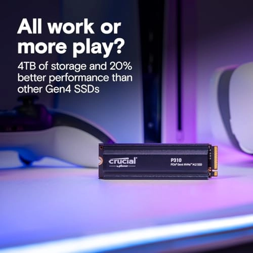 P310 - 2TB M.2
