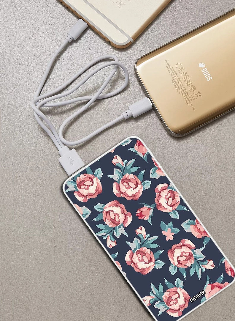 EX_PPBA179 - 10000 Watt-hour 18W