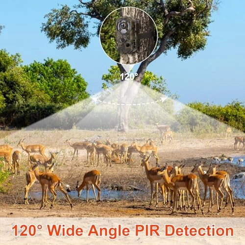 D301W - 48 megapixel