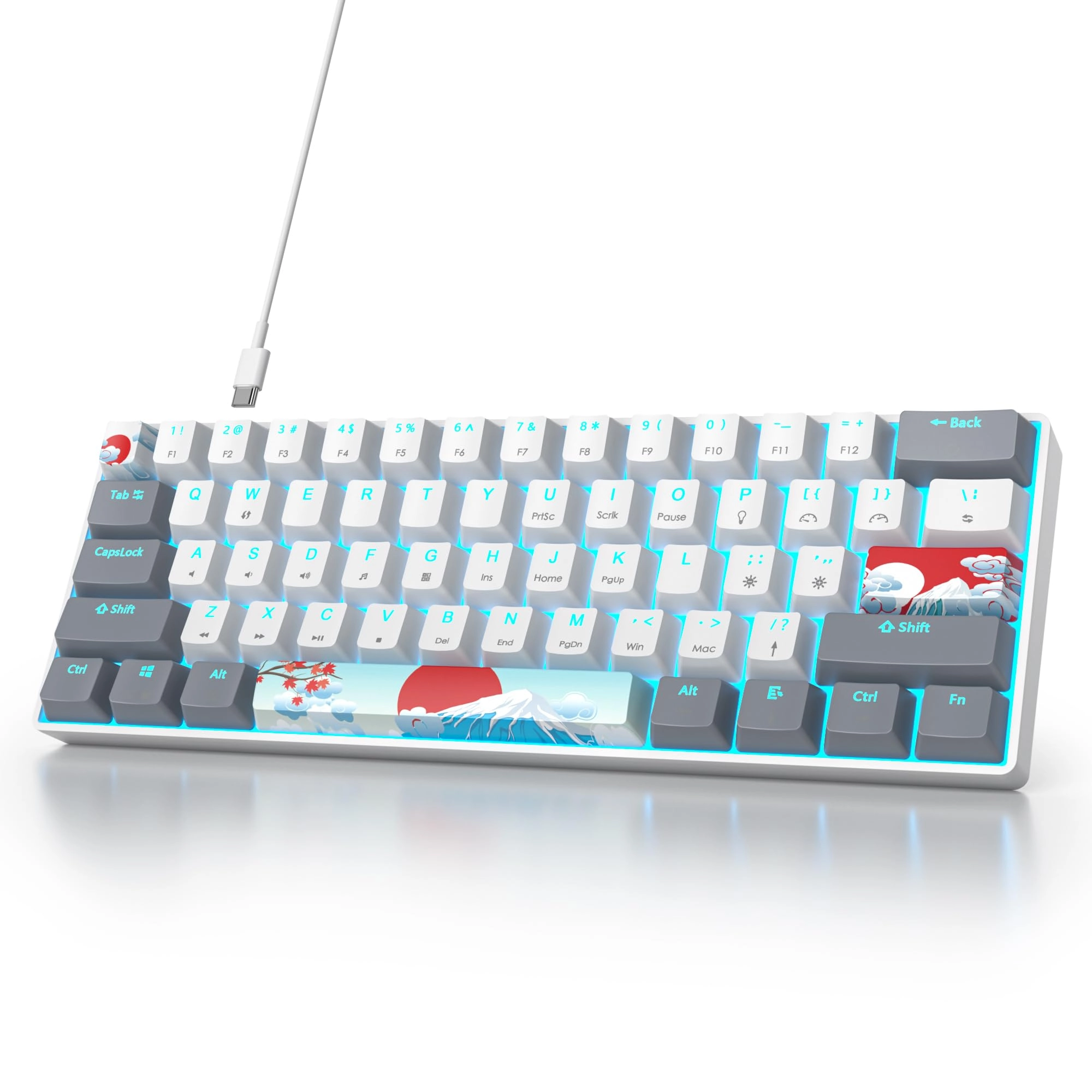 CDTech Inc. 60 Percent Gaming Keyboard - Wired