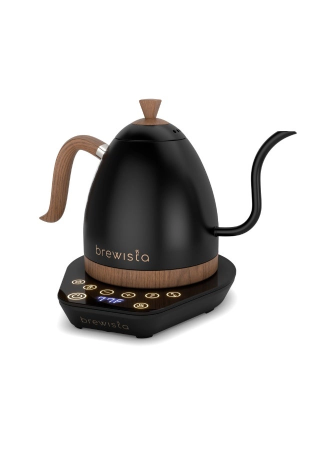 Artisan Electric Kettle