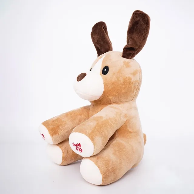 Peek A Boo Dash - 3 +