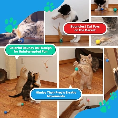 Bouncy Ball - Kittens and young cats