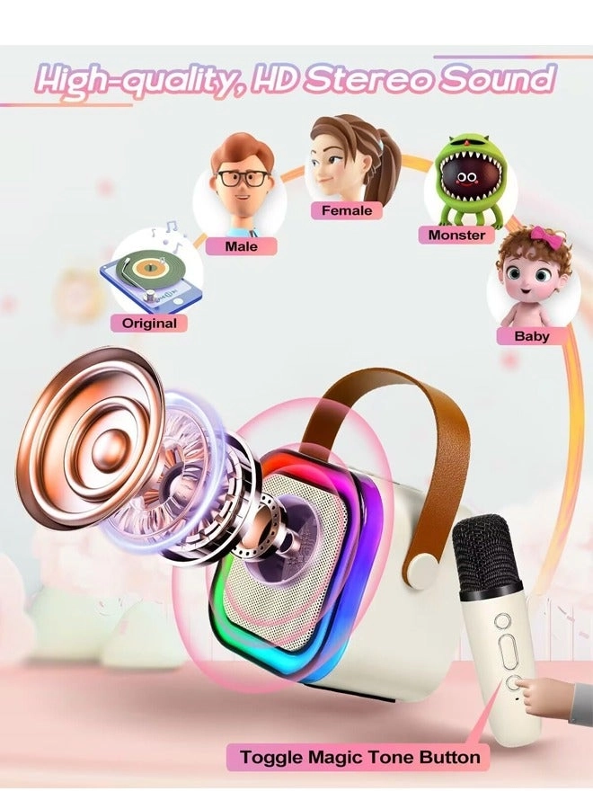 Portable Karaoke Machine - 2 wireless microphones