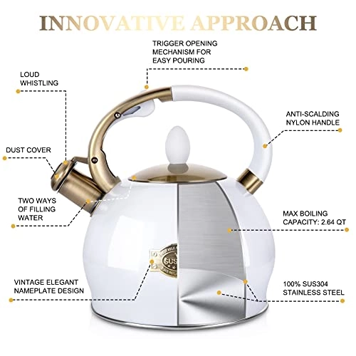Stove Top Whistling Tea Kettle - 2.64 Quarts