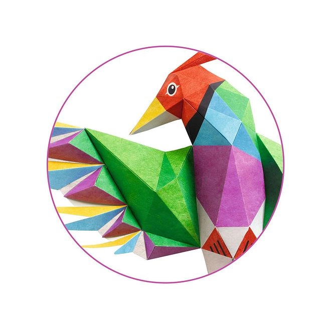 Amazonie 3D Poster Kit