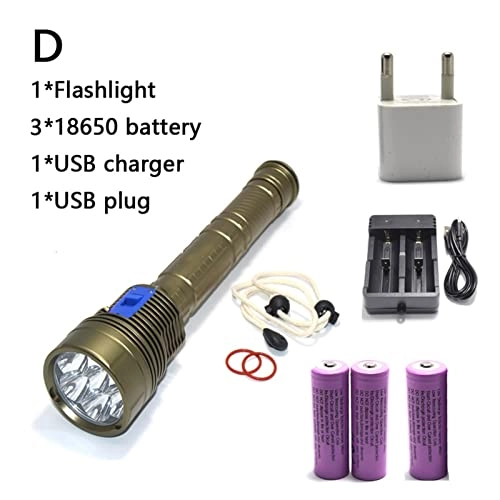 Professional Submersible Light