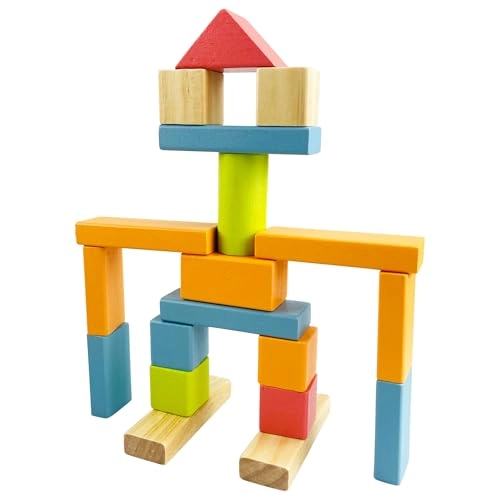 Wood Blocks - 8 months and up 50 pieces