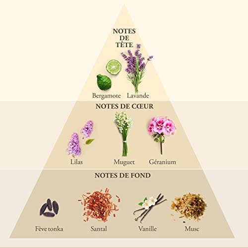 Whisky Eau de Toilette 100 ml