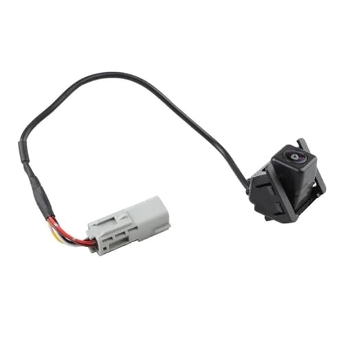 Rear Image Camera Assembly - Wire
