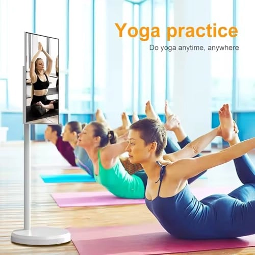 Mobile Touchscreen Television - FHD 21.5"