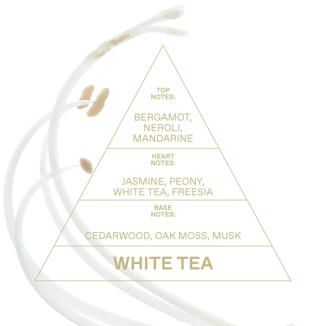 White Tea Eau de Toilette 1.69 Fl Oz