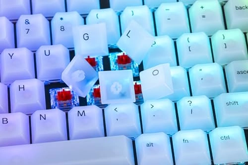 Polychroma - 1 piece(s)