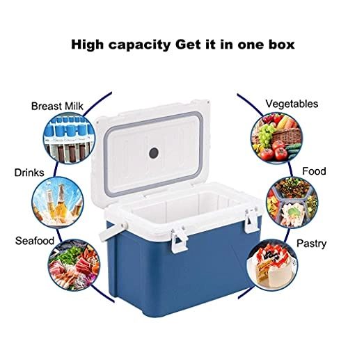 Mini Fridge - 12L