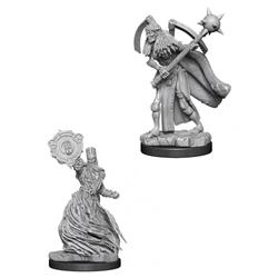 WizKids Liches - Pathfinder (WZK73415)