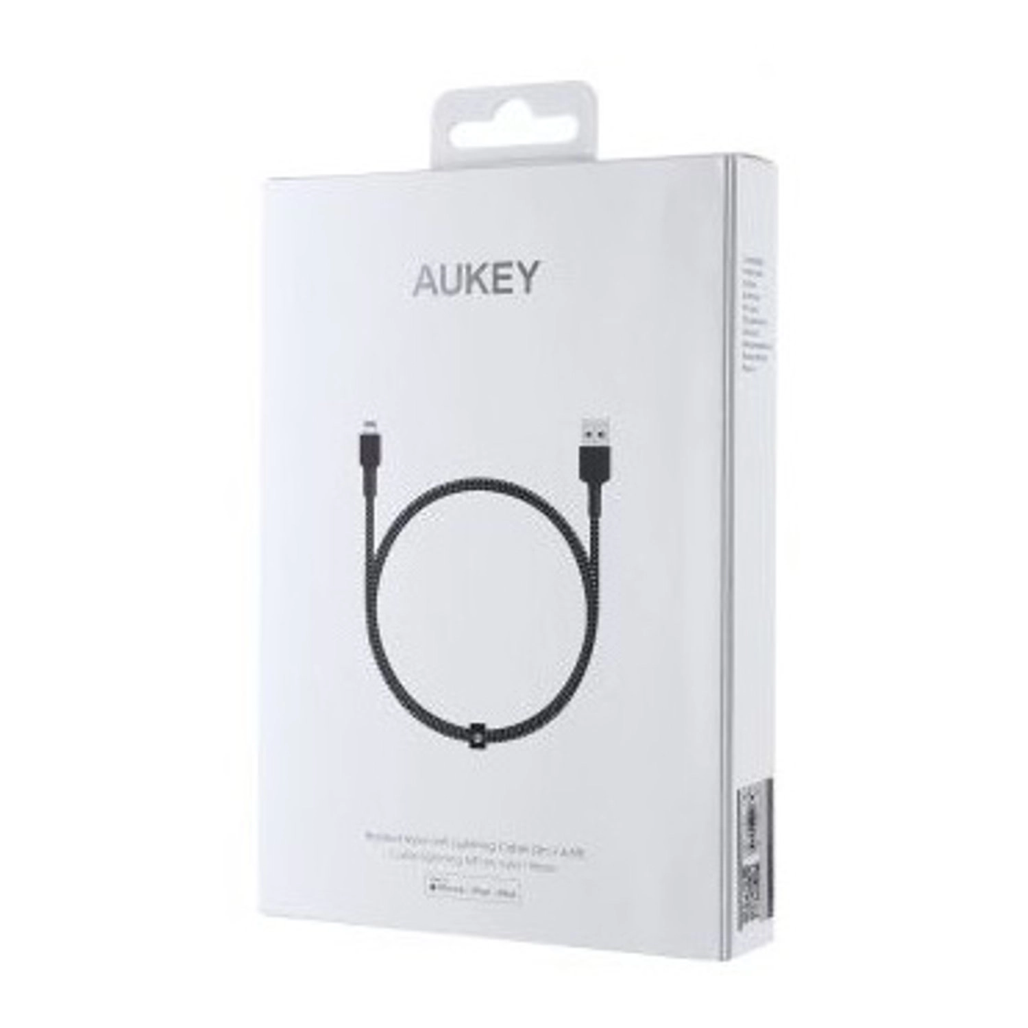 CB-BAL4 - 2m Lightning